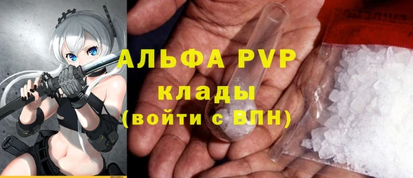 прущие грибы Беломорск